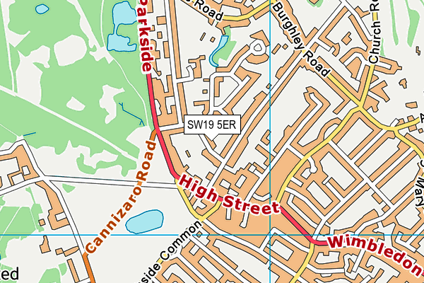 SW19 5ER map - OS VectorMap District (Ordnance Survey) SW19 5ER map - OS VectorMap District (Ordnance Survey)