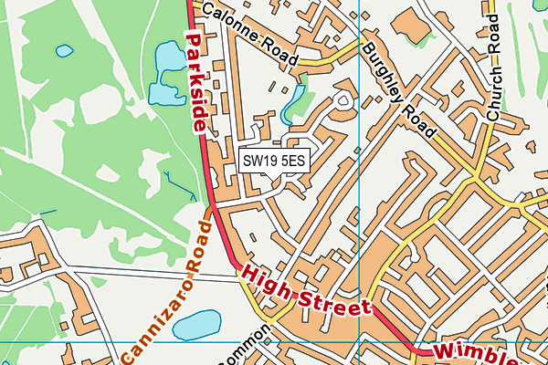 SW19 5ES map - OS VectorMap District (Ordnance Survey) SW19 5ES map - OS VectorMap District (Ordnance Survey)