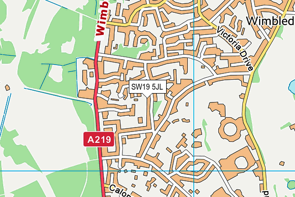 SW19 5JL map - OS VectorMap District (Ordnance Survey) SW19 5JL map - OS VectorMap District (Ordnance Survey)