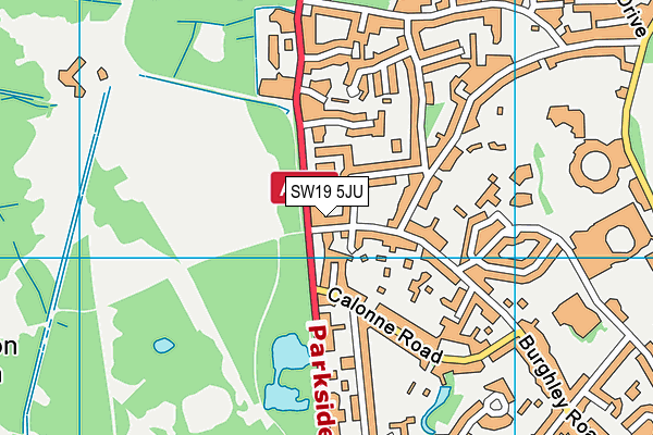 SW19 5JU map - OS VectorMap District (Ordnance Survey)