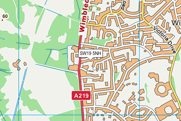 SW19 5NH map - OS VectorMap District (Ordnance Survey) SW19 5NH map - OS VectorMap District (Ordnance Survey)