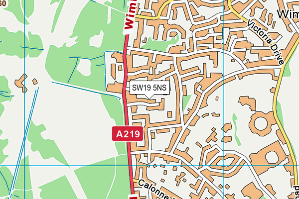 SW19 5NS map - OS VectorMap District (Ordnance Survey) SW19 5NS map - OS VectorMap District (Ordnance Survey)