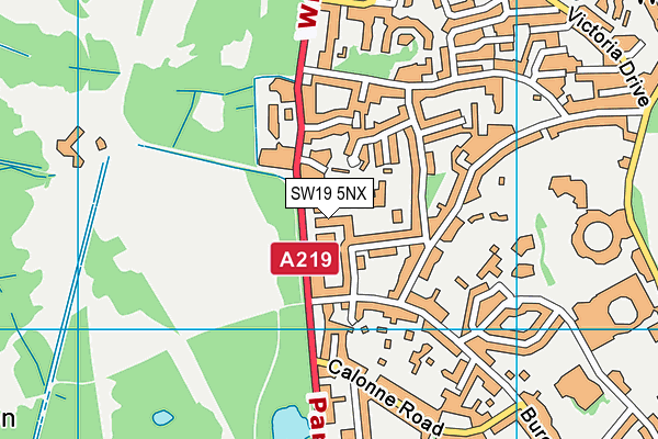 SW19 5NX map - OS VectorMap District (Ordnance Survey)