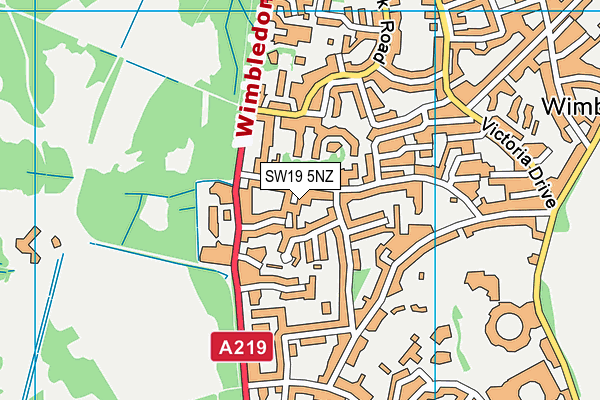 SW19 5NZ map - OS VectorMap District (Ordnance Survey) SW19 5NZ map - OS VectorMap District (Ordnance Survey)