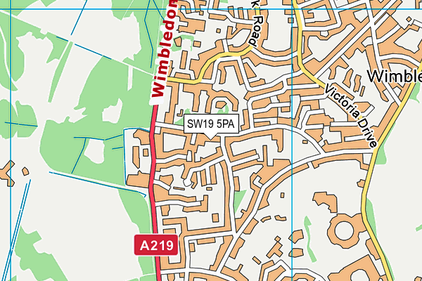 SW19 5PA map - OS VectorMap District (Ordnance Survey) SW19 5PA map - OS VectorMap District (Ordnance Survey)