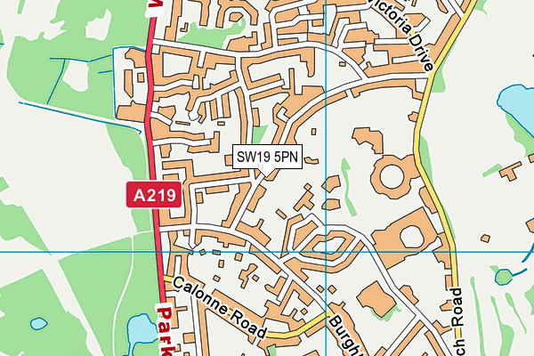 SW19 5PN map - OS VectorMap District (Ordnance Survey) SW19 5PN map - OS VectorMap District (Ordnance Survey)