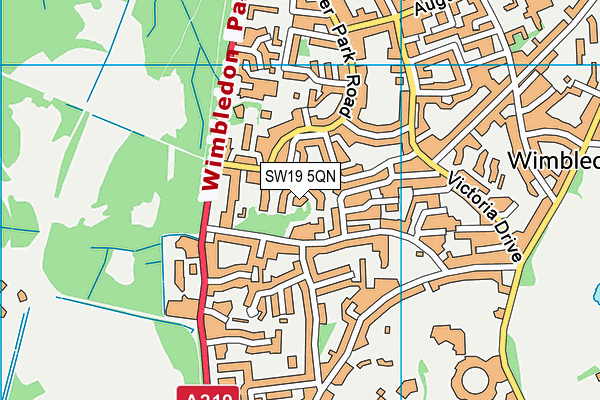 SW19 5QN map - OS VectorMap District (Ordnance Survey) SW19 5QN map - OS VectorMap District (Ordnance Survey)