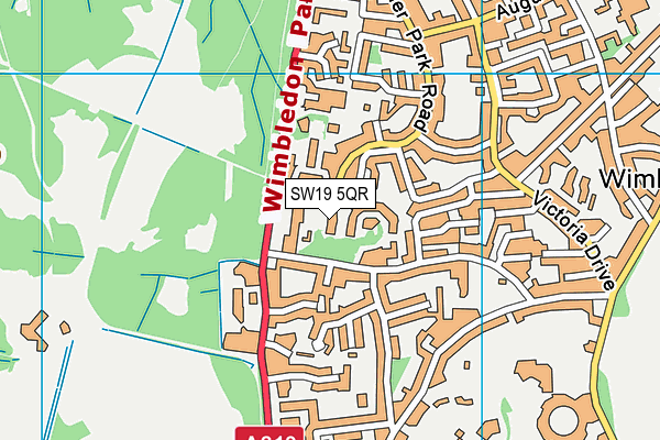SW19 5QR map - OS VectorMap District (Ordnance Survey) SW19 5QR map - OS VectorMap District (Ordnance Survey)