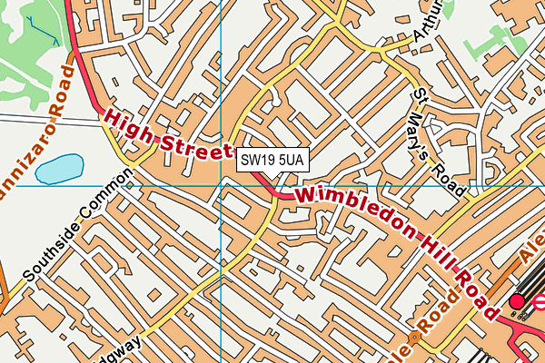 SW19 5UA map - OS VectorMap District (Ordnance Survey) SW19 5UA map - OS VectorMap District (Ordnance Survey)