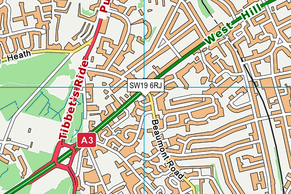 SW19 6RJ map - OS VectorMap District (Ordnance Survey)