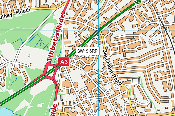 SW19 6RP map - OS VectorMap District (Ordnance Survey) SW19 6RP map - OS VectorMap District (Ordnance Survey)