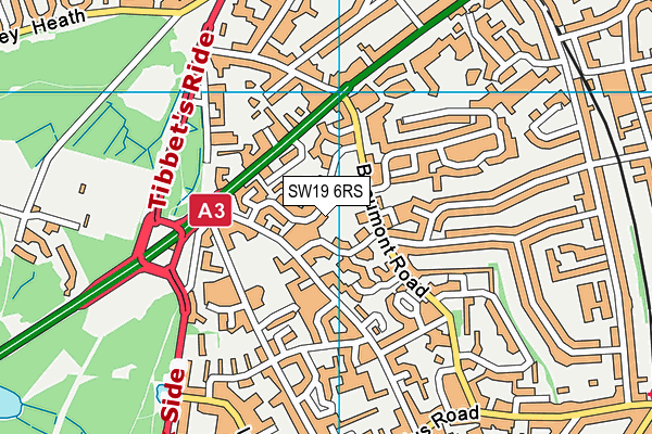 SW19 6RS map - OS VectorMap District (Ordnance Survey)