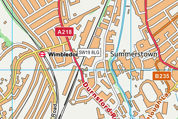 SW19 8LG map - OS VectorMap District (Ordnance Survey)