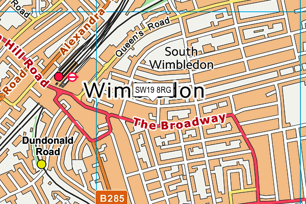 SW19 8RG map - OS VectorMap District (Ordnance Survey)