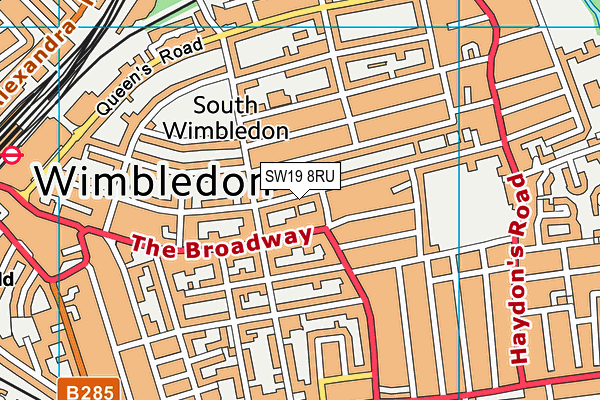 SW19 8RU map - OS VectorMap District (Ordnance Survey)