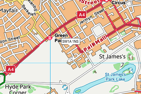 SW1A 1NS map - OS VectorMap District (Ordnance Survey) SW1A 1NS map - OS VectorMap District (Ordnance Survey)