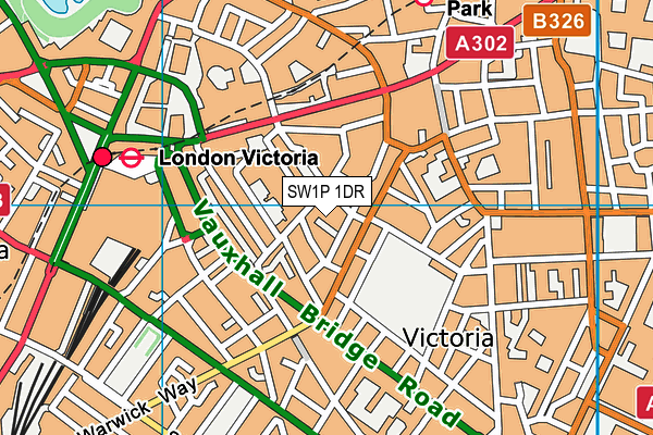 SW1P 1DR map - OS VectorMap District (Ordnance Survey)