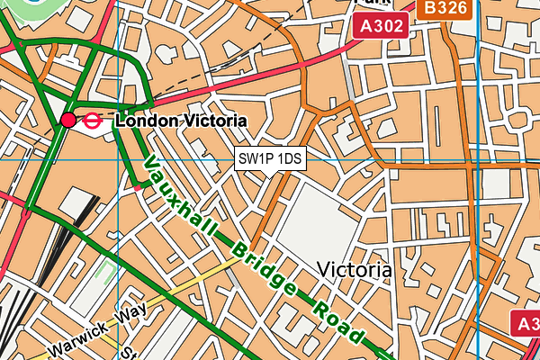 SW1P 1DS map - OS VectorMap District (Ordnance Survey) SW1P 1DS map - OS VectorMap District (Ordnance Survey)