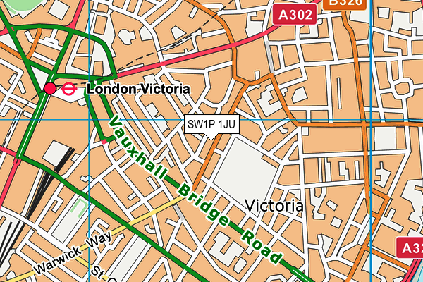 SW1P 1JU map - OS VectorMap District (Ordnance Survey)