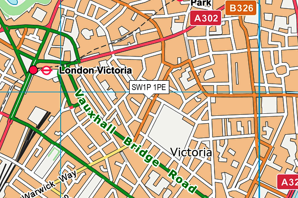 SW1P 1PE map - OS VectorMap District (Ordnance Survey)