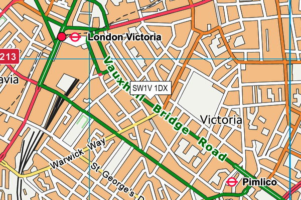 SW1V 1DX map - OS VectorMap District (Ordnance Survey)