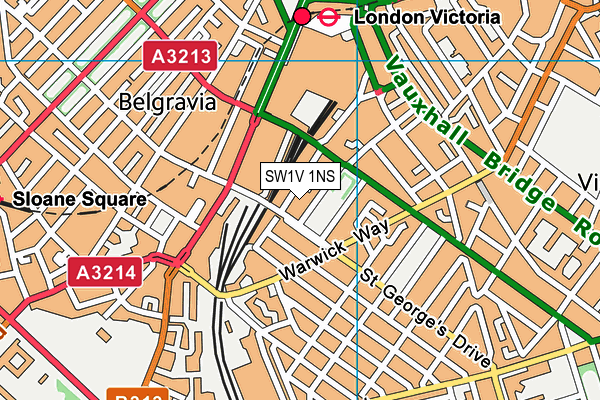 SW1V 1NS map - OS VectorMap District (Ordnance Survey) SW1V 1NS map - OS VectorMap District (Ordnance Survey)