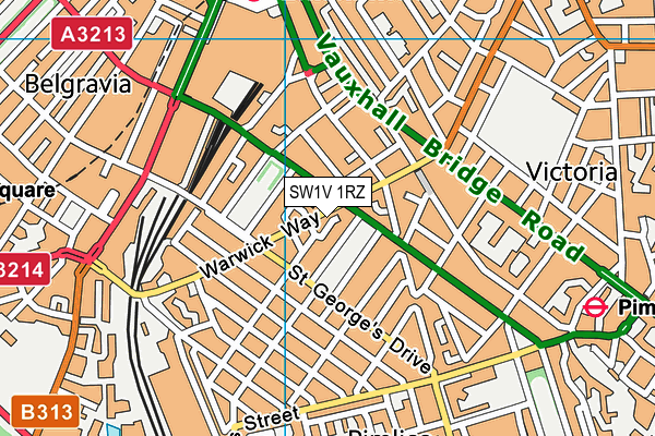 SW1V 1RZ map - OS VectorMap District (Ordnance Survey) SW1V 1RZ map - OS VectorMap District (Ordnance Survey)