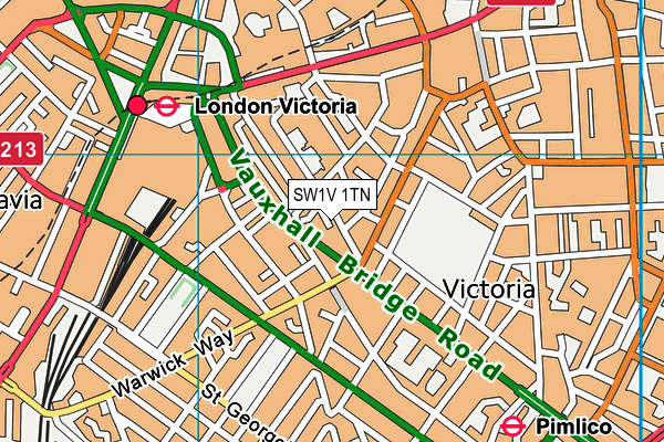 SW1V 1TN map - OS VectorMap District (Ordnance Survey)