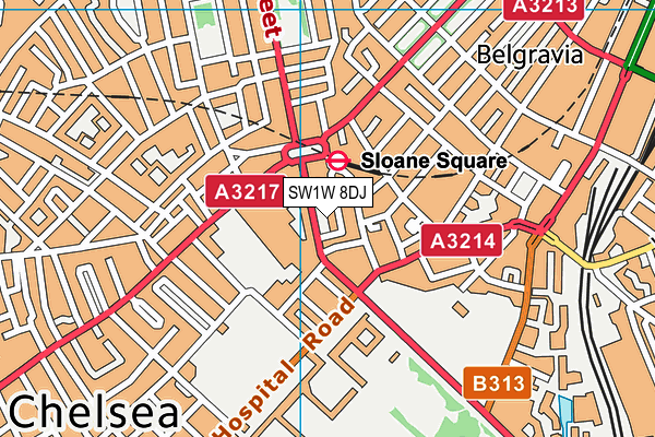 SW1W 8DJ map - OS VectorMap District (Ordnance Survey) SW1W 8DJ map - OS VectorMap District (Ordnance Survey)