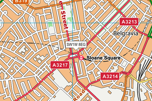 SW1W 8EG map - OS VectorMap District (Ordnance Survey)