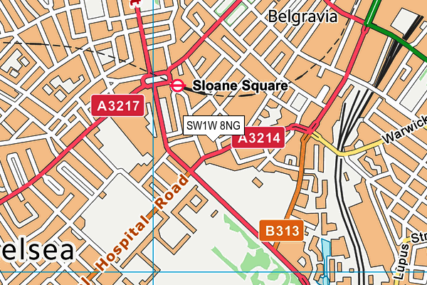 SW1W 8NG map - OS VectorMap District (Ordnance Survey) SW1W 8NG map - OS VectorMap District (Ordnance Survey)