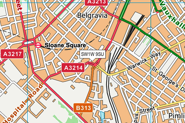 SW1W 9SU map - OS VectorMap District (Ordnance Survey) SW1W 9SU map - OS VectorMap District (Ordnance Survey)
