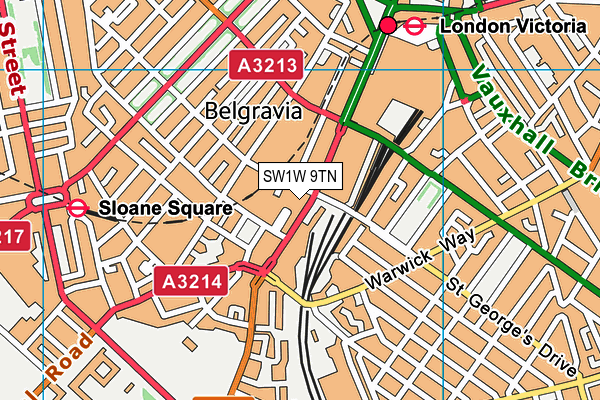 SW1W 9TN map - OS VectorMap District (Ordnance Survey) SW1W 9TN map - OS VectorMap District (Ordnance Survey)