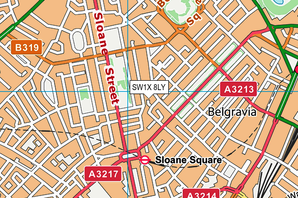 SW1X 8LY map - OS VectorMap District (Ordnance Survey) SW1X 8LY map - OS VectorMap District (Ordnance Survey)