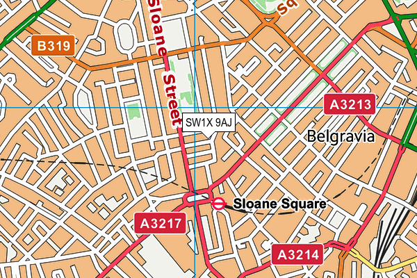 SW1X 9AJ map - OS VectorMap District (Ordnance Survey) SW1X 9AJ map - OS VectorMap District (Ordnance Survey)