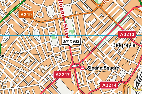 SW1X 9BS map - OS VectorMap District (Ordnance Survey)
