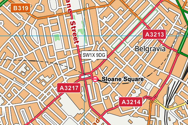 SW1X 9DG map - OS VectorMap District (Ordnance Survey)