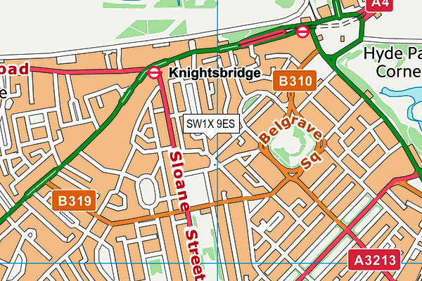 SW1X 9ES map - OS VectorMap District (Ordnance Survey) SW1X 9ES map - OS VectorMap District (Ordnance Survey)