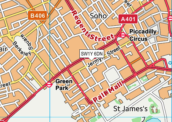 SW1Y 6DN map - OS VectorMap District (Ordnance Survey) SW1Y 6DN map - OS VectorMap District (Ordnance Survey)