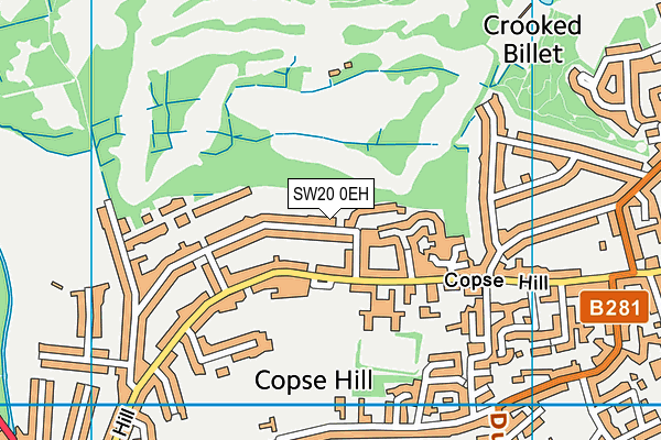 SW20 0EH map - OS VectorMap District (Ordnance Survey)