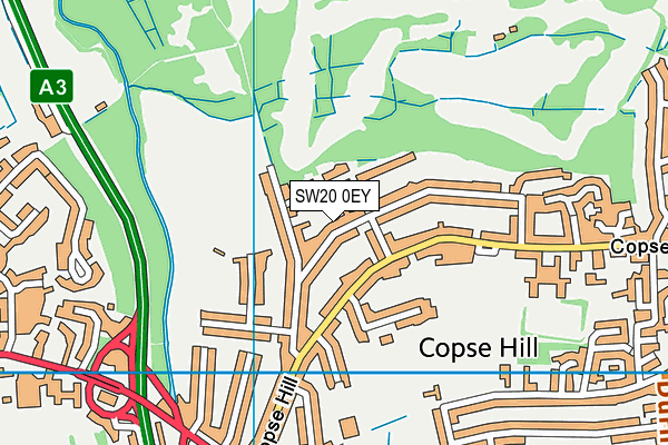 SW20 0EY map - OS VectorMap District (Ordnance Survey) SW20 0EY map - OS VectorMap District (Ordnance Survey)