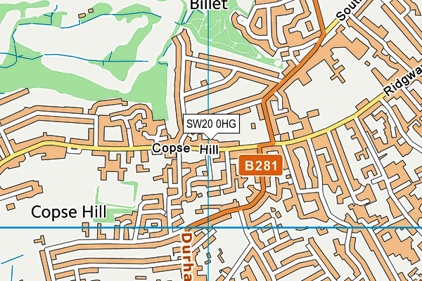 SW20 0HG map - OS VectorMap District (Ordnance Survey) SW20 0HG map - OS VectorMap District (Ordnance Survey)