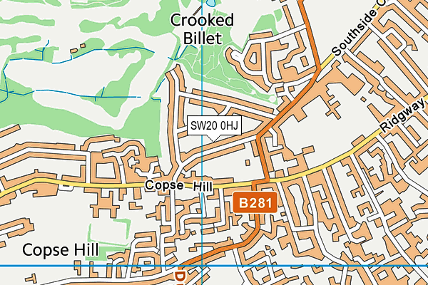 SW20 0HJ map - OS VectorMap District (Ordnance Survey) SW20 0HJ map - OS VectorMap District (Ordnance Survey)