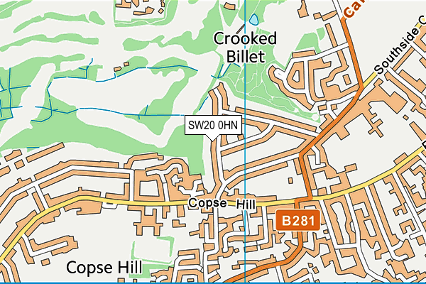 SW20 0HN map - OS VectorMap District (Ordnance Survey) SW20 0HN map - OS VectorMap District (Ordnance Survey)