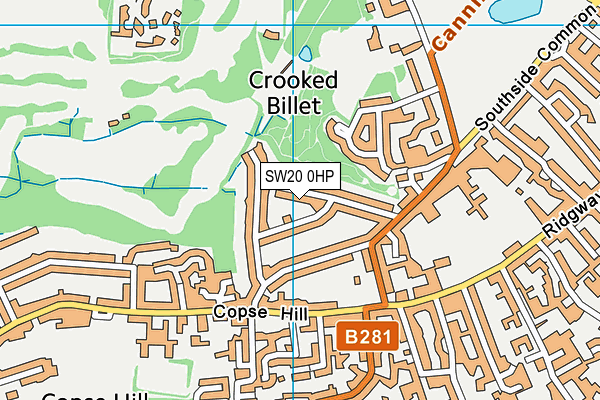 SW20 0HP map - OS VectorMap District (Ordnance Survey)