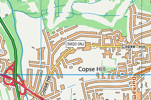 SW20 0NJ map - OS VectorMap District (Ordnance Survey) SW20 0NJ map - OS VectorMap District (Ordnance Survey)