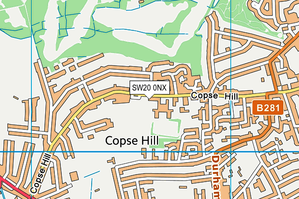 SW20 0NX map - OS VectorMap District (Ordnance Survey) SW20 0NX map - OS VectorMap District (Ordnance Survey)