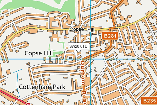 SW20 0TD map - OS VectorMap District (Ordnance Survey)