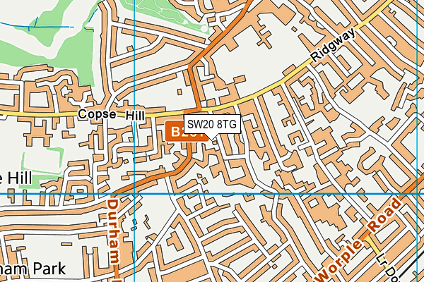 SW20 8TG map - OS VectorMap District (Ordnance Survey) SW20 8TG map - OS VectorMap District (Ordnance Survey)