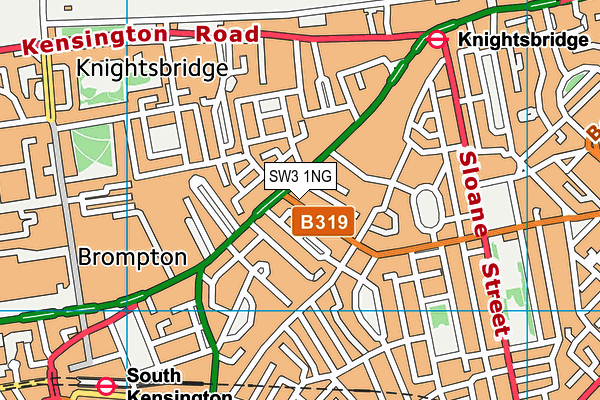 SW3 1NG map - OS VectorMap District (Ordnance Survey) SW3 1NG map - OS VectorMap District (Ordnance Survey)